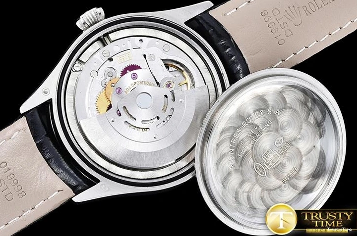 0311 Efficient ROLCEL072A – Cellini 875